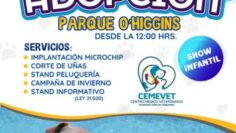 adopcion