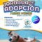 adopcion