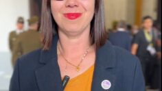 dipcarolinatello