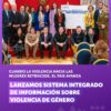 violengenero